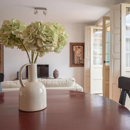 Fancy Ribeira Apartment